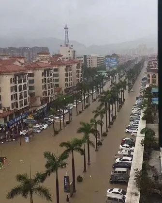 下一站:神涌 就问你感动不感动 三乡"水上市场" 沙溪霞湖世家附近