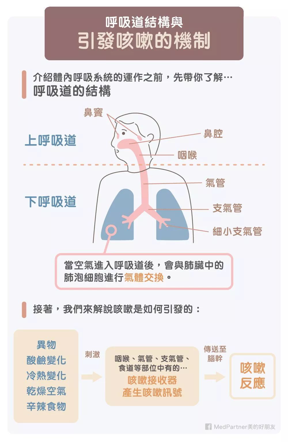 咳嗽的原理是什么意思_正常咳嗽痰是什么颜色