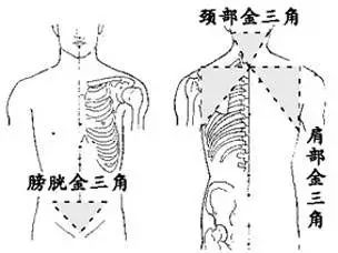 人体十大黄金三角区,养好了百病不扰!