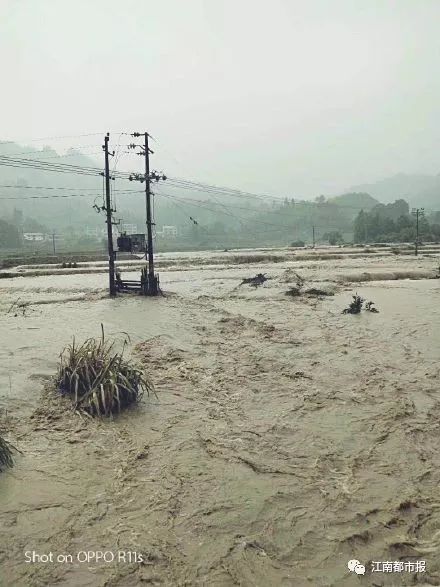 泰和遂川人口_泰和乌鸡(2)