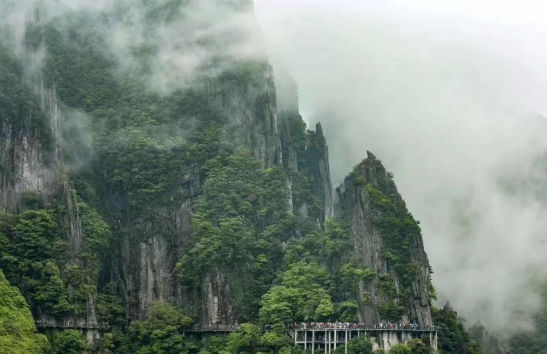 区老区携手旅游新发展】深圳旅游代表团吉安考