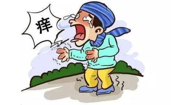 夏日皮肤瘙痒难忍?随意抓挠或致病程延长!