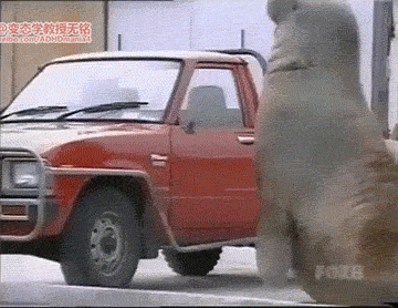 360_278gif 动态图 动图