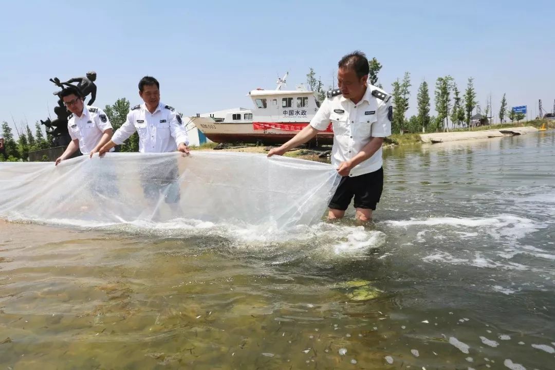 东海石梁河水库迎来500余万新"居民"