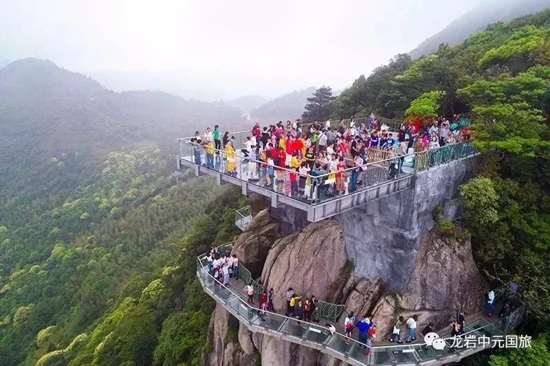 上杭梅花山虎园,古田会议旧址汽车一日游