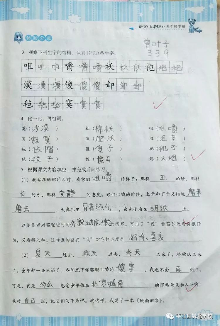 【遇见美好】城北学校五年级339班优秀作业展