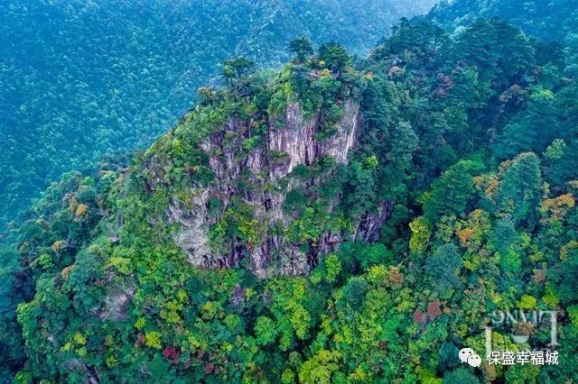 换种姿势欣赏郴州莽山 一起"飞"向将军寨!