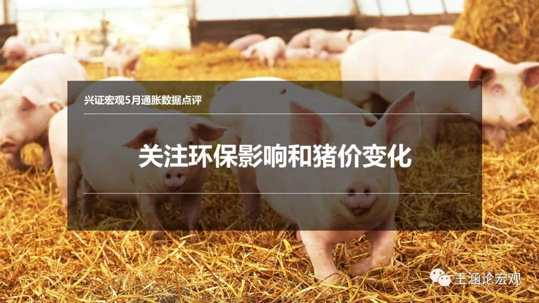关注环保影响和猪价变化——5月通胀数据点评