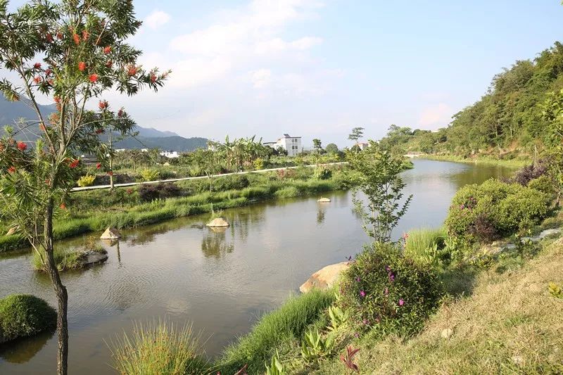 图为:美丽乡村建桥镇郑屋村乡间小溪郑屋村地处206国道两侧,南北两山