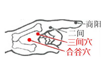 牙齿不好常用这些养生穴位牙痛牙出血和口臭不见了