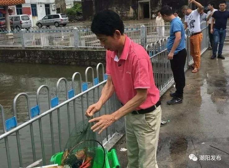 谷饶官田人口_人口普查(2)