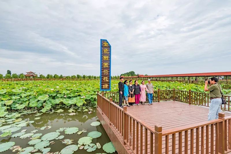 旅游 正文 位于大公圩水乡的 金色田园农业生态园 一期,二期规划项目