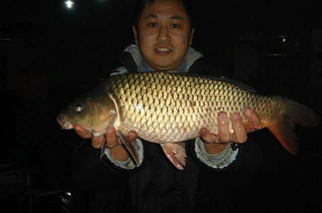 怎样在夏季夜钓鲤鱼?这里有你要的答案