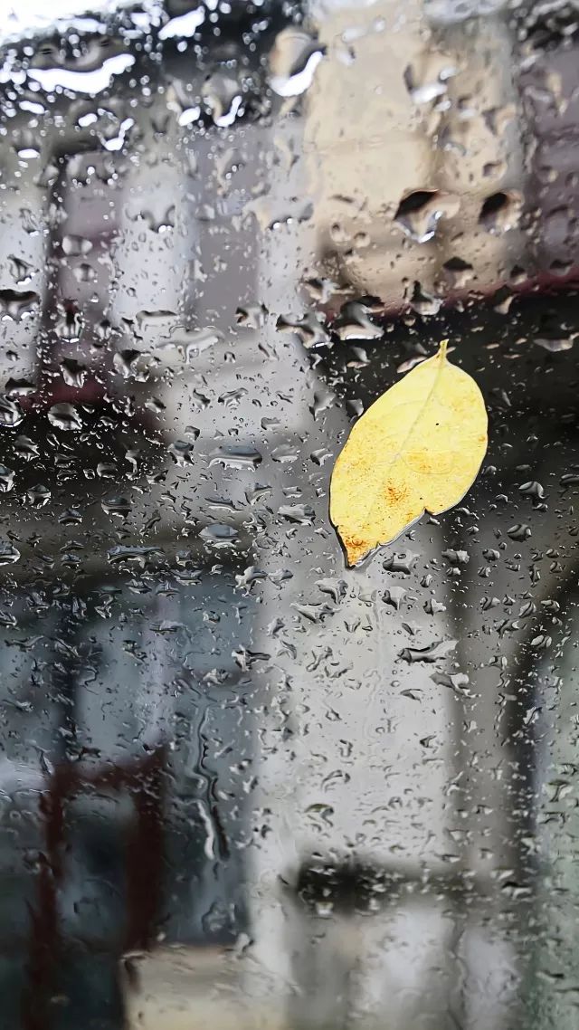 外面下着大雨 我躺在床上吹着风扇抱着毛毯 听着雨声特别容易入睡 醒