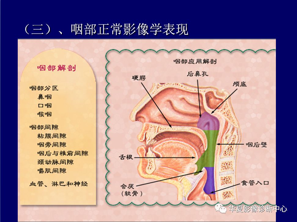 咽部解剖与疾病的影像诊断