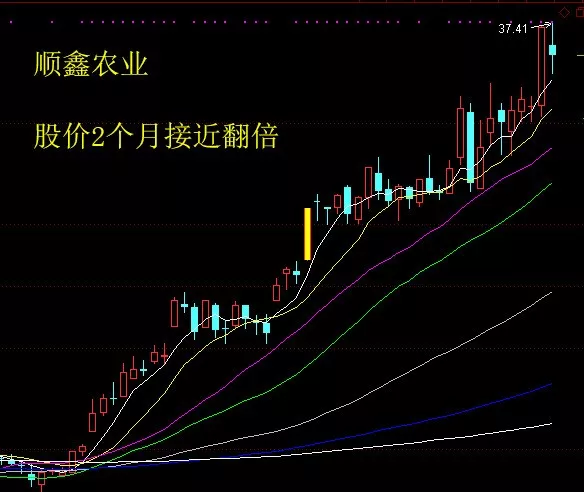 举例-1:顺鑫农业