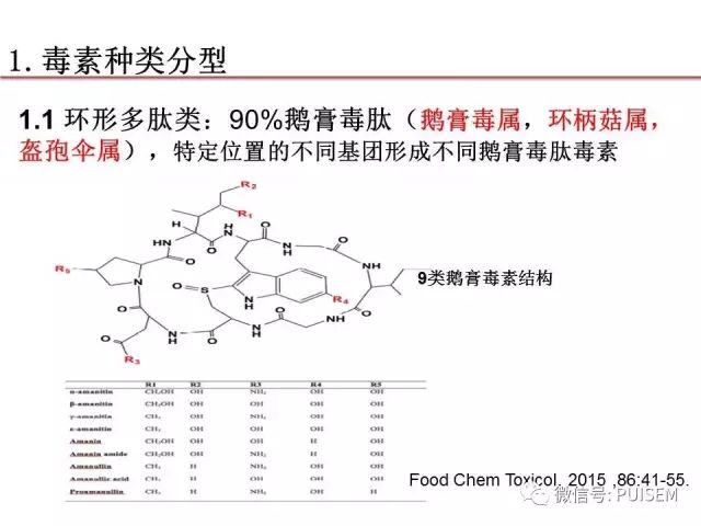 毒蘑菇简谱_毒蘑菇图片大全(3)