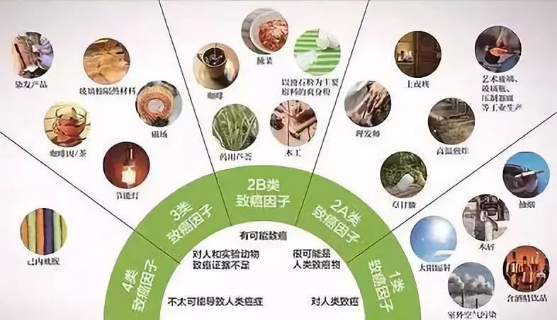 印度人口年轻 群体免疫没有危险_体现印度人口多的图(3)