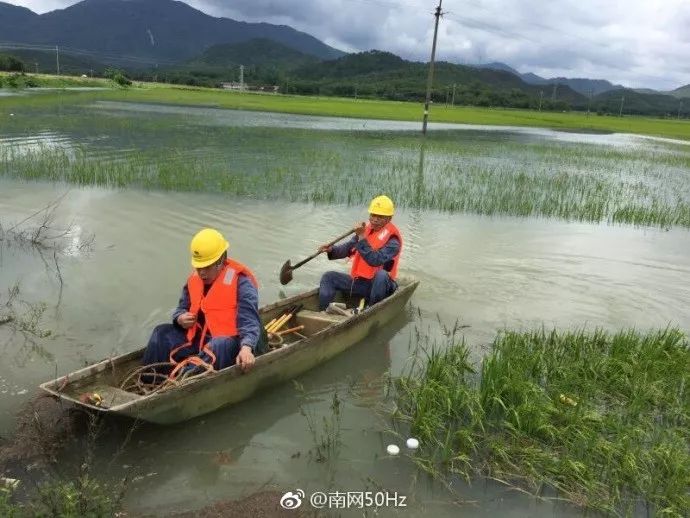 高要各镇gdp蚬岗_乡村振兴丨高要蚬岗 黄金地瓜 变身 致富瓜(2)