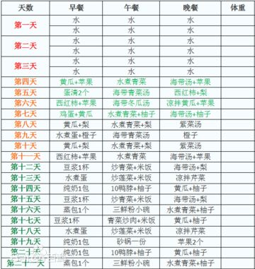 减肥21天减肥表_21天减肥法_减肥法天瘦