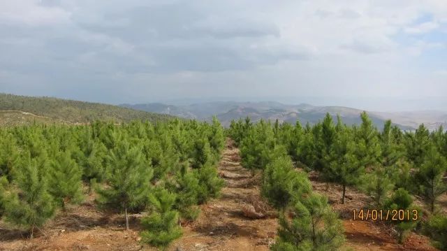 沙甸民族人口_人口和民族的思维导图