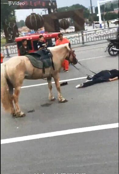 男子模仿网红视频骑马机动车道飞奔当街摔晕