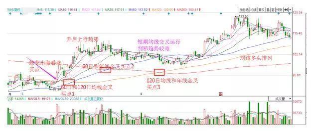 庞氏人口_P2P平台 中介 属性的回归,是其存活的关键(3)