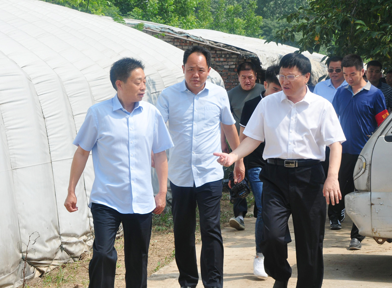 鹿邑县委书记梁建松陪同市督查组调研辖区环保攻坚工作