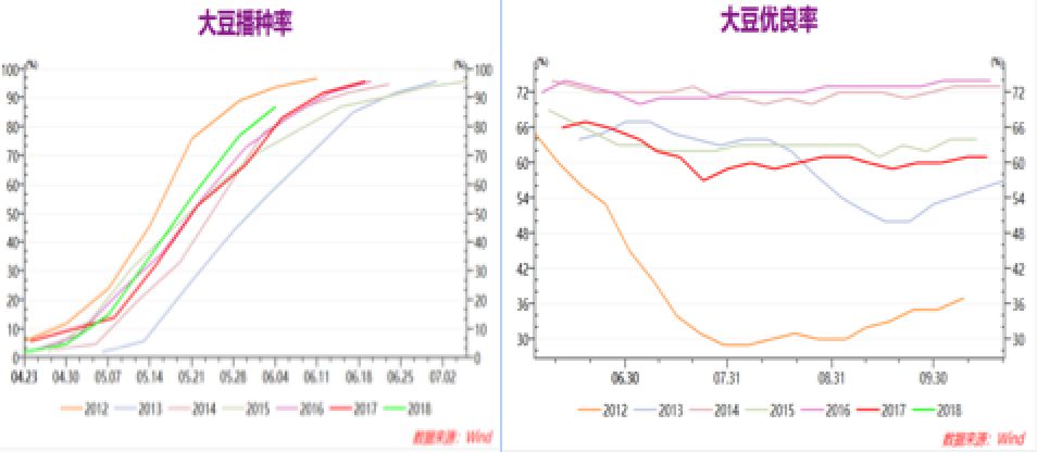 巴西人均gdp2021雷亚尔_雷亚尔与巴西大豆(2)