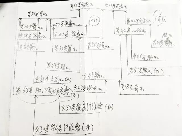 派出所人口家谱_派出所立案失踪人口