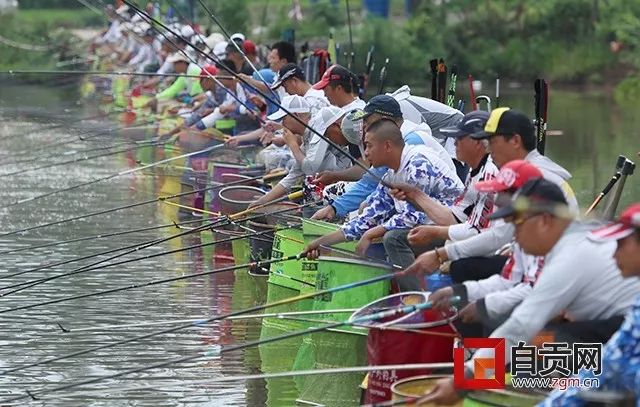 自贡最高规模钓鱼赛,云贵川渝各路好汉都来了!