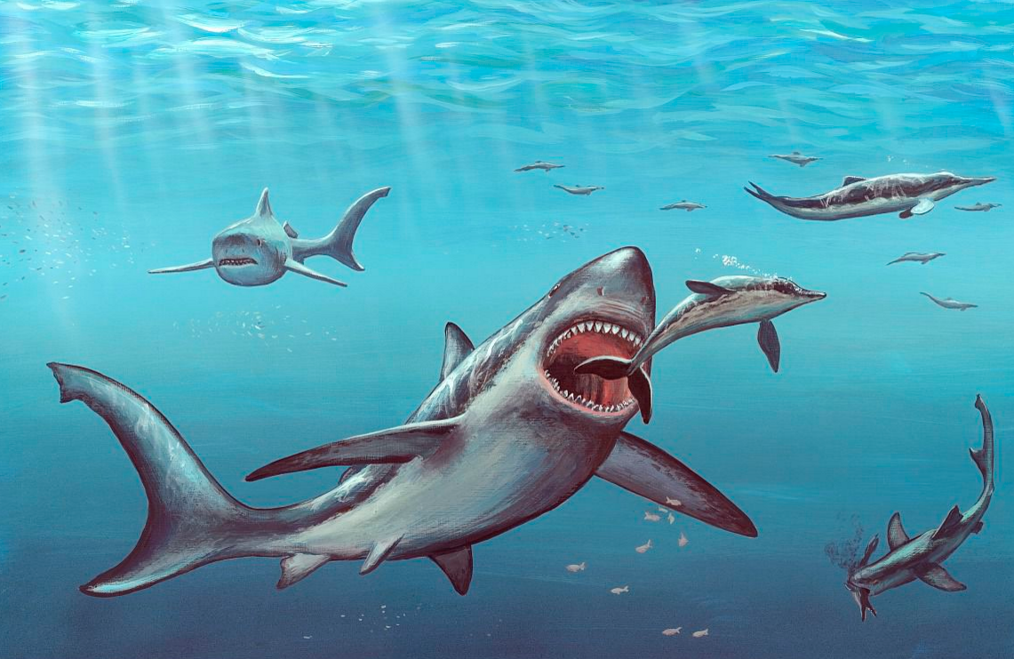 巨齿鲨:史上咬合力最强的动物,可轻松咬碎小汽车