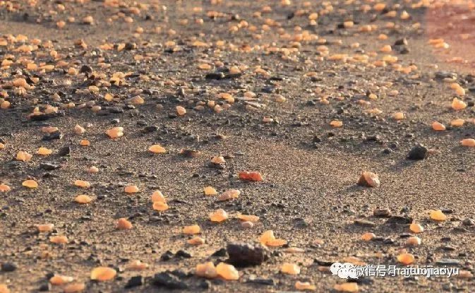 海拓分享在有一种户外叫做捡石头附捡宝地图