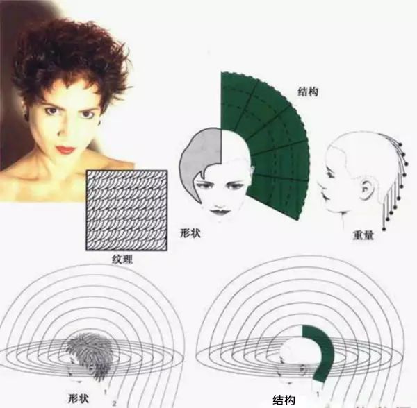 美发初学者必看的详细图PG电子官网文剪发基础教程(图5)