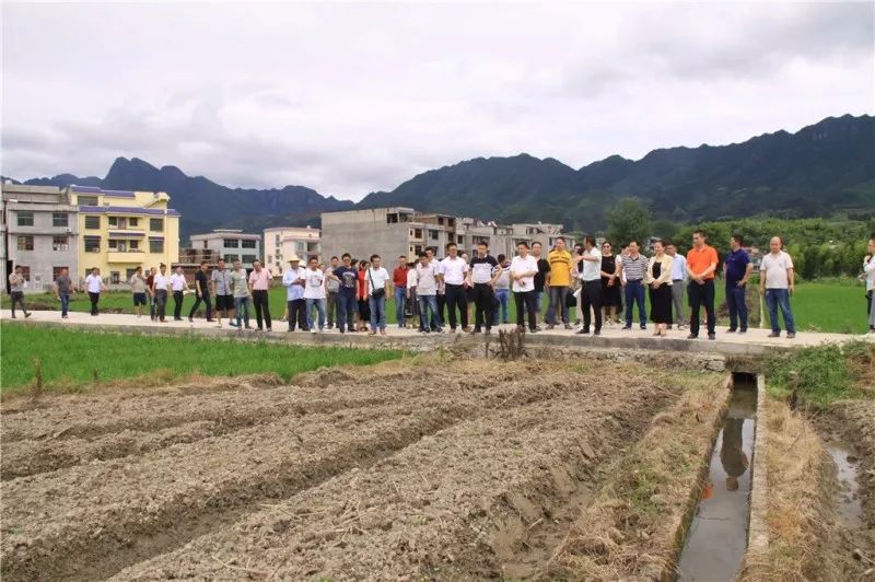 集中学习李熙桥镇土地流转经营模式