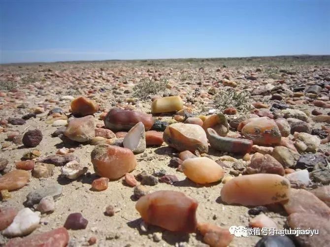 【海拓分享】在新疆,有一种户外叫做捡石头.附捡宝