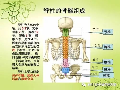 脊椎老化怎么办