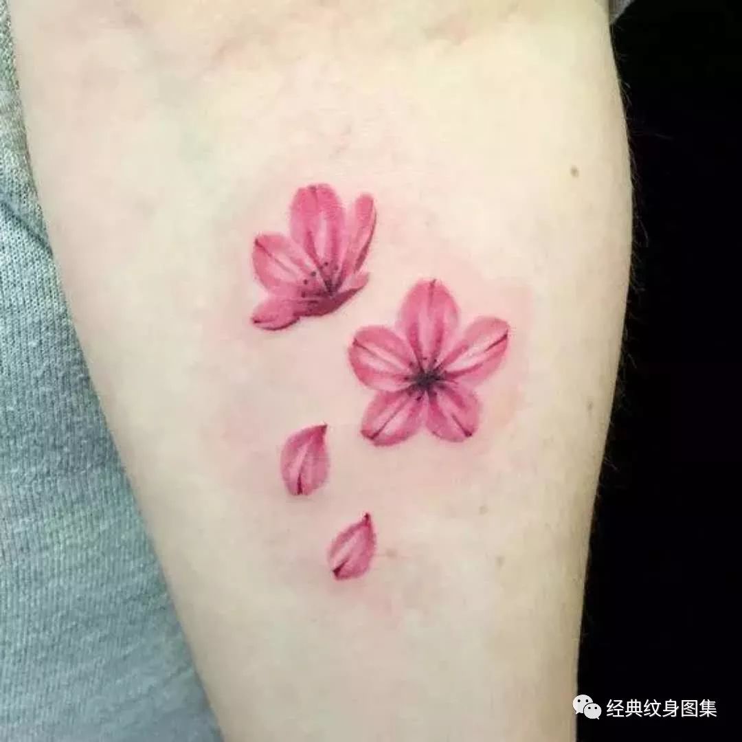 女生樱花瓣纹身图案大全 樱花纹身的含义(22/40)-纹身图片网