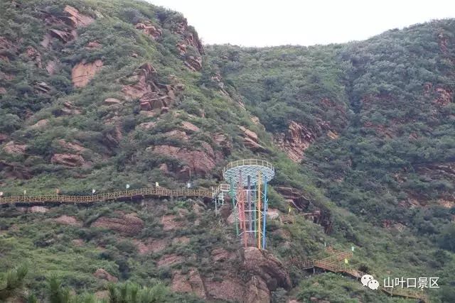 迁安山叶口含餐一日游