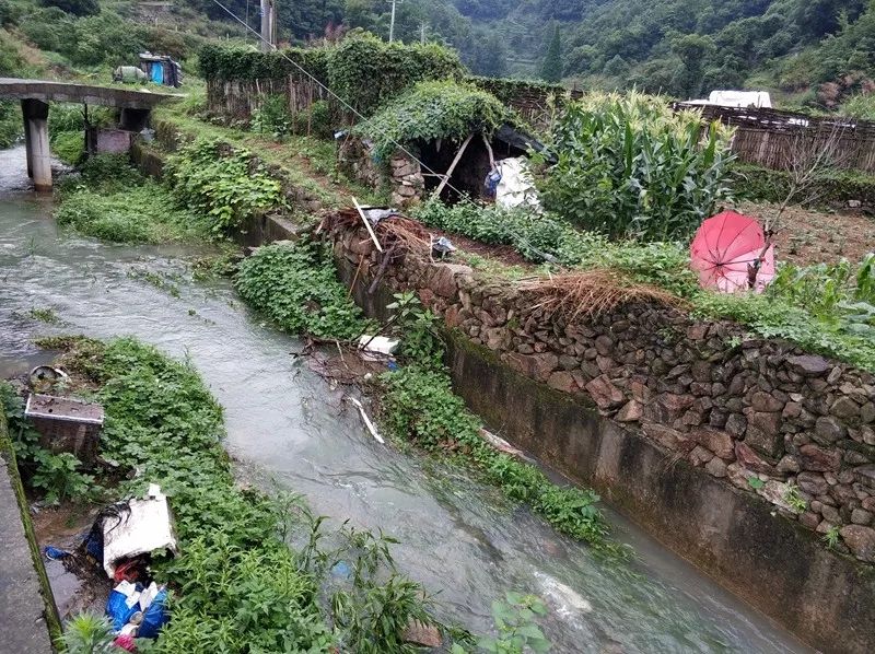 02 瓯北街道珠岙村 03 东城街道山仓村 04 乌牛街道吴岙村 05 乌牛