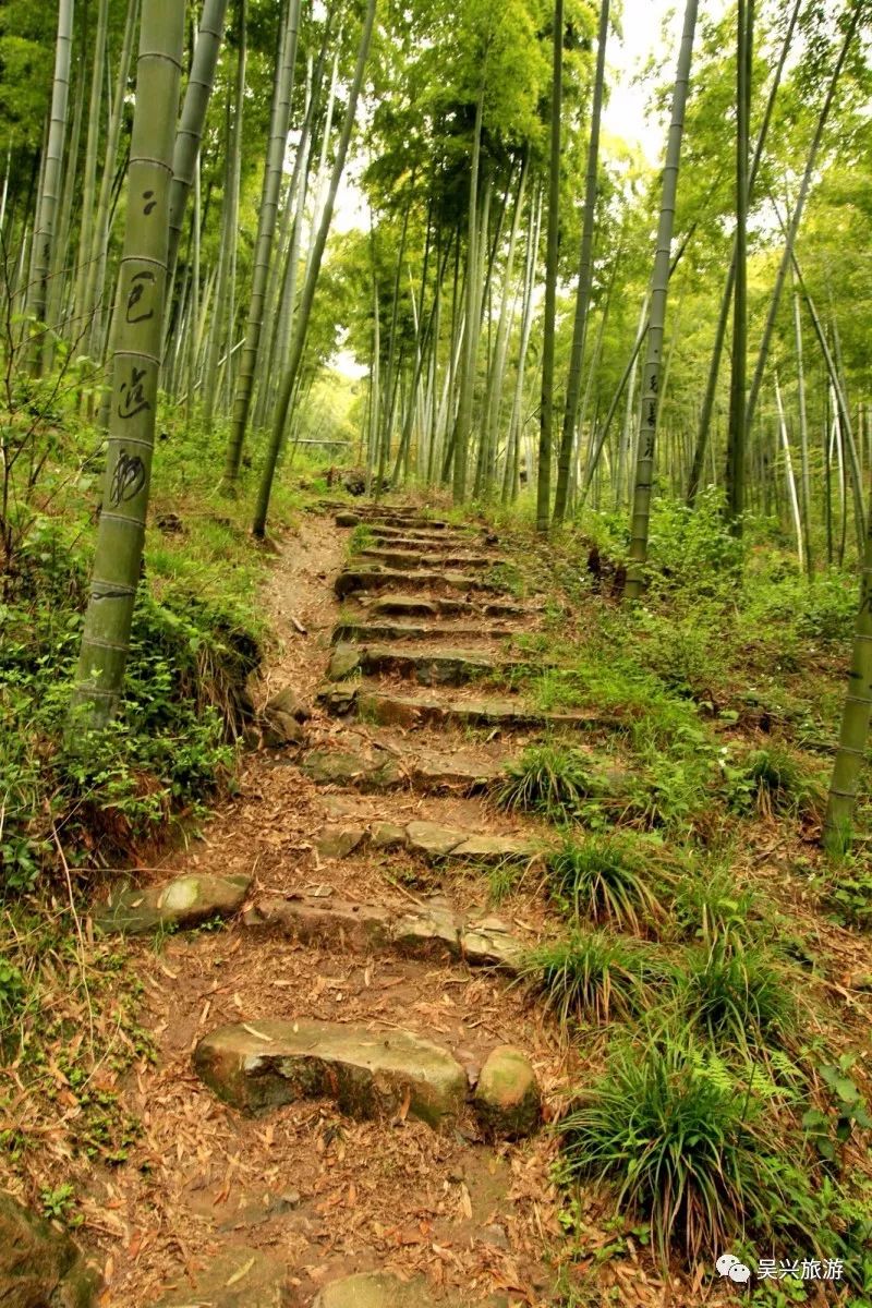 陆羽古道,天字古道入选"长三角