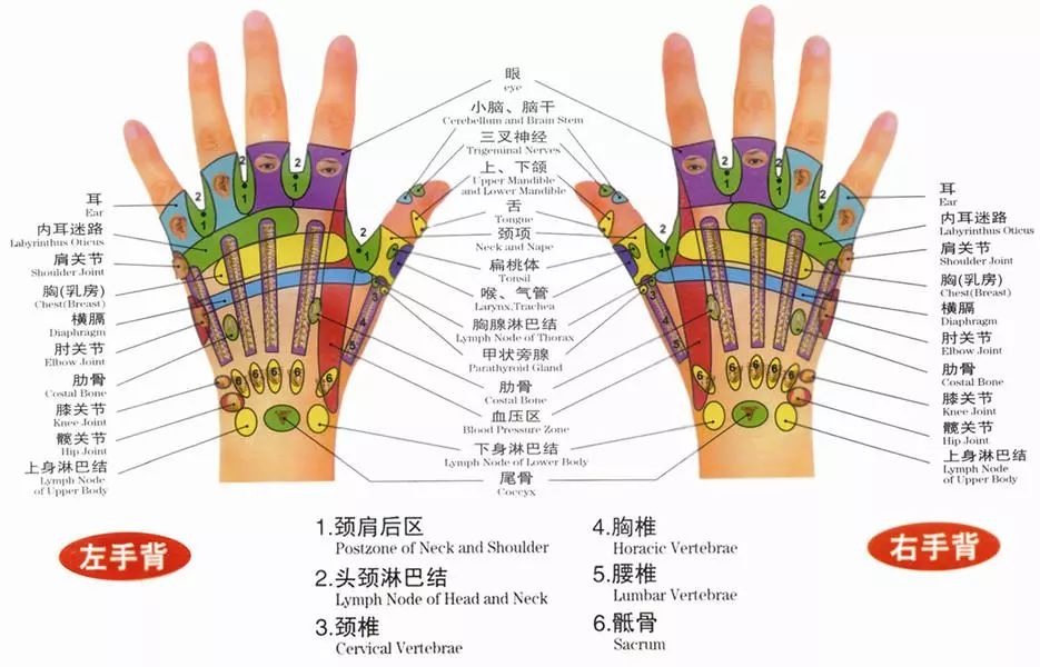 一直被忽视的刮痧板隐藏技能  刮大拇指 针对:咳嗽,胸闷,咽喉肿痛