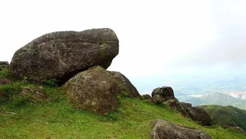 茂名电白首个5a标准旅游景区?总投资20亿!明年9月开业!