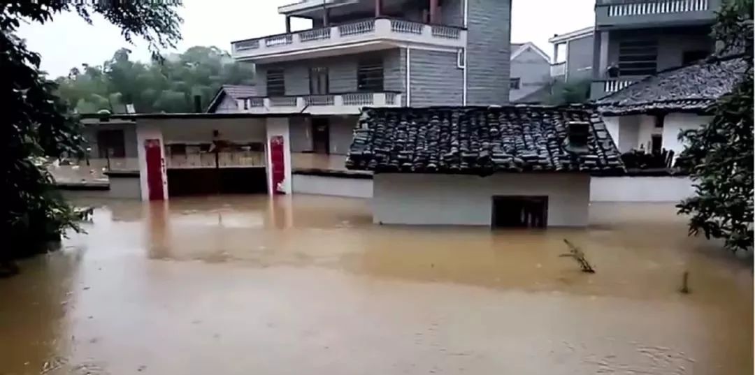 泰和遂川人口_泰和乌鸡