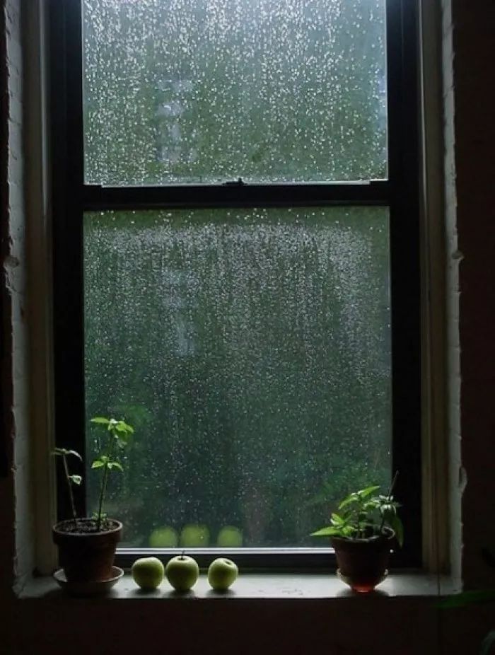 【晚安心语】有雨敲窗,心却静如止水