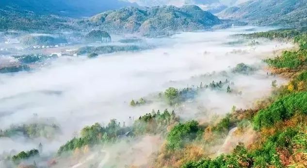 空山天盆景区