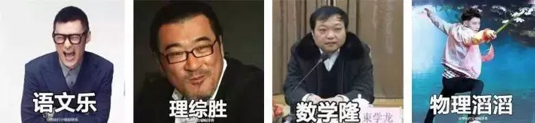 "理综胜","语文乐","物理滔滔"……不得不说大