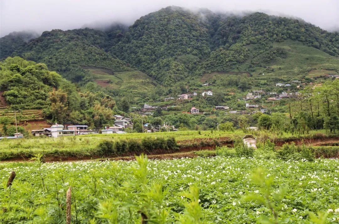 深山寻味记 远赴镇康,遇见一个不一样的木场乡