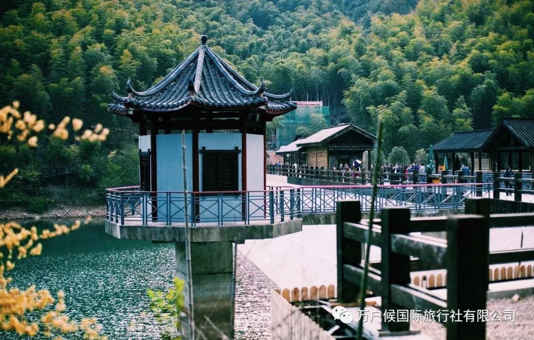 乘车赴天目湖南山景区,游览 【南山竹海风景区】(约240分钟);南山