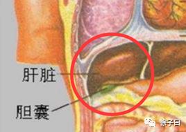 相什么见什么成语_成语故事图片(3)